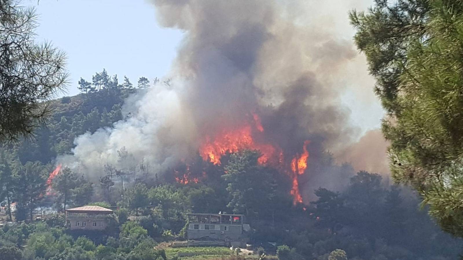 Antalya Manavgat'ta 10.30'da orman yangını çıktı. Bölgeye havadan ve karadan