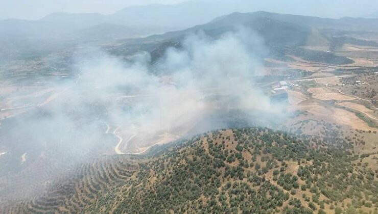 İzmir’de tarlada yangın çıktı! Ormana sıçradı…