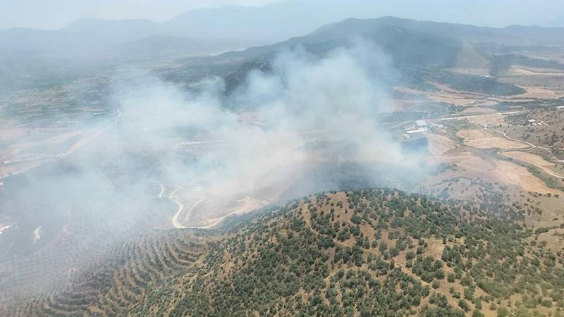 İzmir’in Kiraz ilçesinde ekin tarlasında çıkan yangın, ormana da sıçradı.