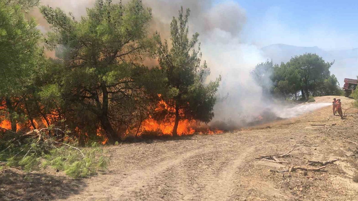 Adana’nın Saimbeyli ilçesi Ayvacık Mahallesi’nde anızların ateşe verdiği tarlada, alevler