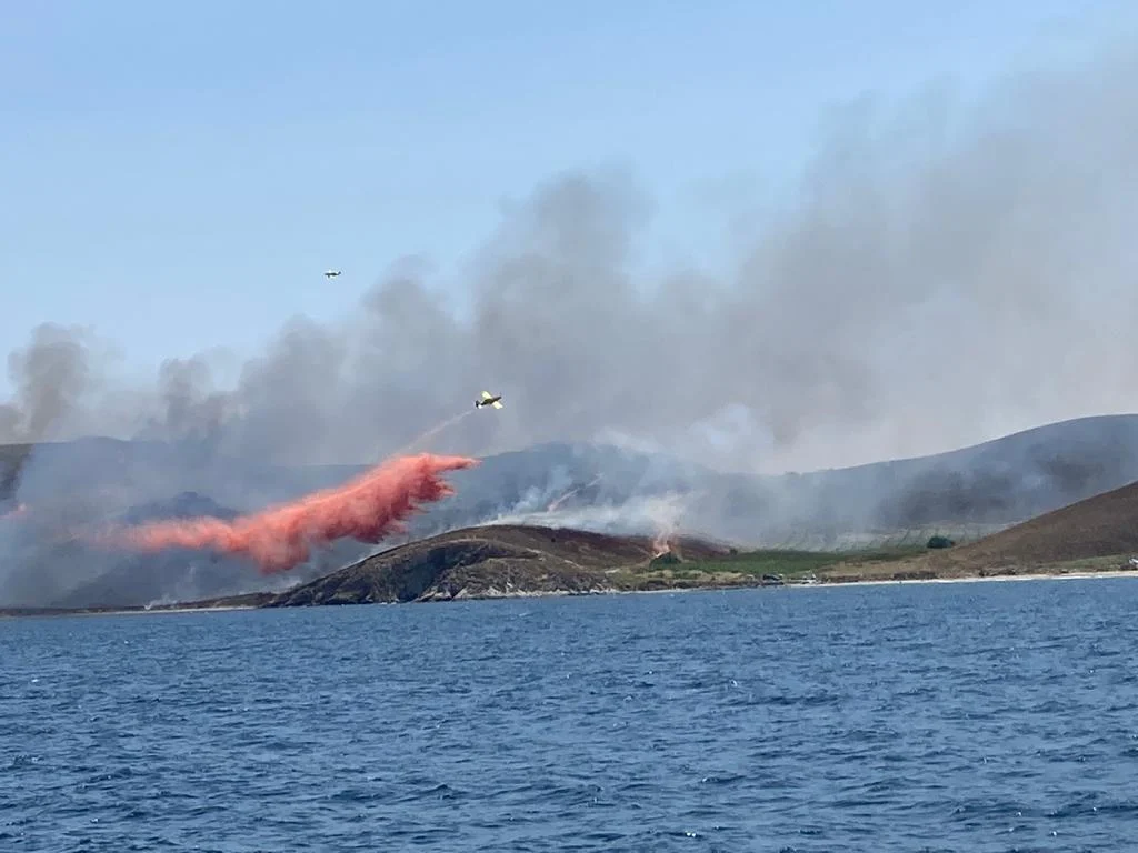Marmara İlçesi’ne bağlı Avşa Adası’nda, Çiftlik mevkinde saat 13.00 sıralarında