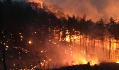 Çanakkale’deki orman yangını