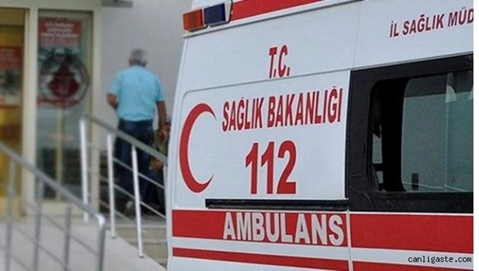 Serik Çandır Mahallesi’nde saat 14.30 sıralarında meydana gelen olayda, seradaki