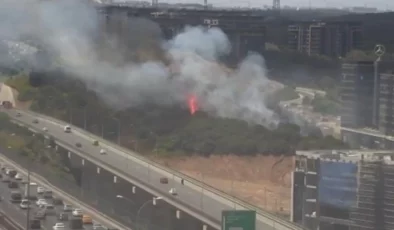 İstanbul’da orman yangını: Müdahale sürüyor