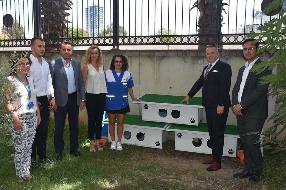 İzmir Adalet Sarayı'ndaki son dönemde sayıları artan sokak kedilerinin belli