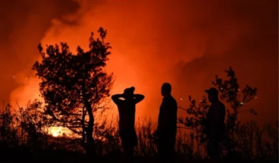 İzmir, Antalya, Çanakkale yangınlarında son durum