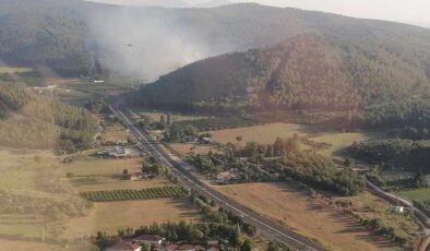 İzmir Selçuk’ta orman yangını