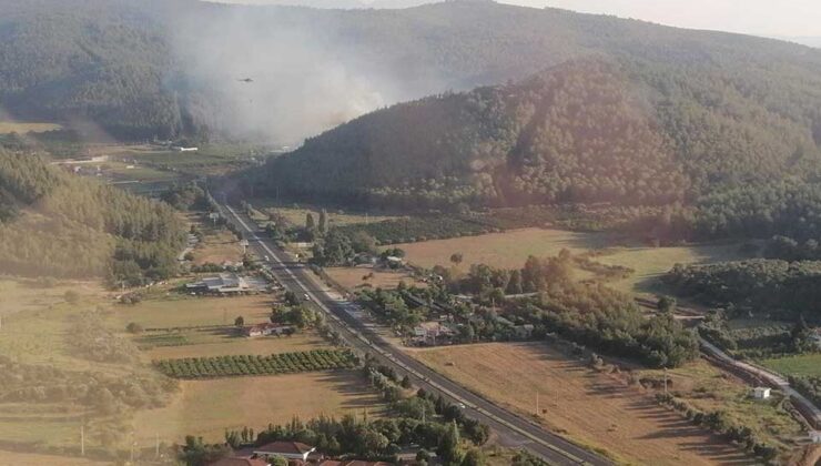 İzmir Selçuk’ta orman yangını