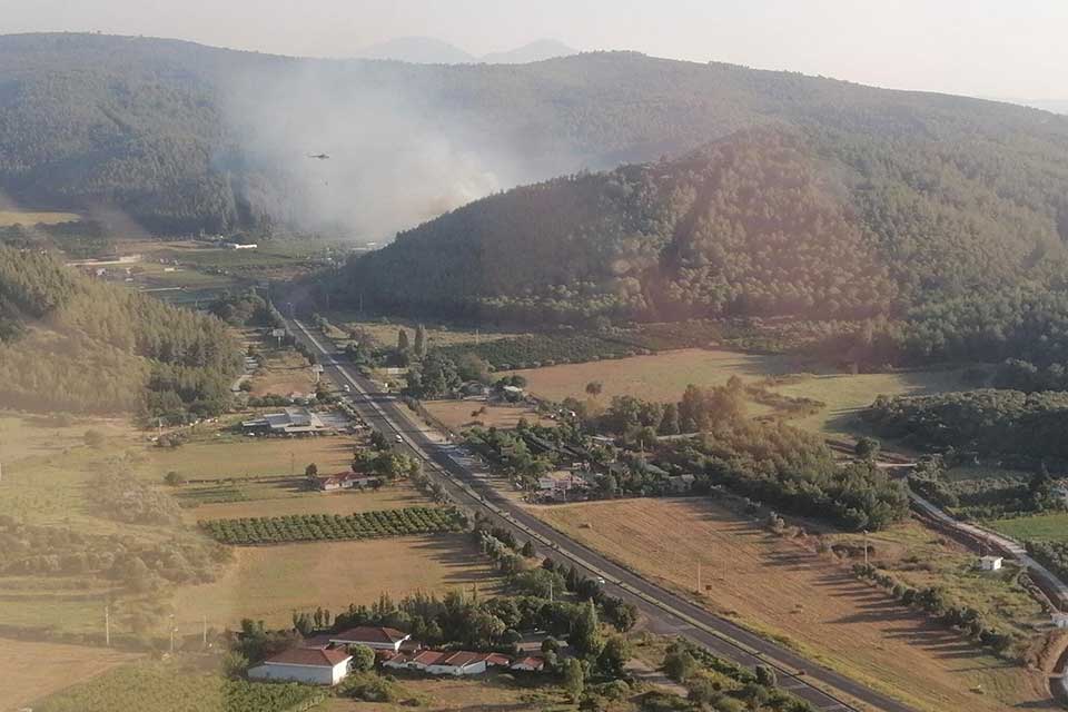 İzmir'in Selçuk ilçesinde çıkan orman yangınına ekipler karadan ve havadan
