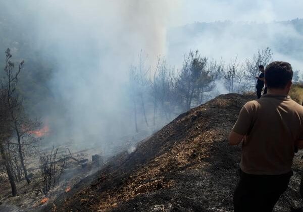 İzmir Kemalpaşa’da orman yangını!