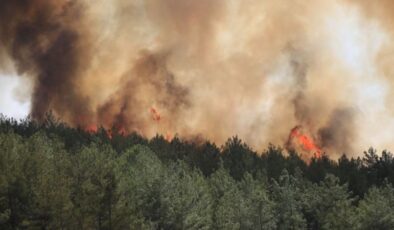 Milas’ta orman yangını durmuyor: Sıcaktan uçaklar kalkış yapamıyor!