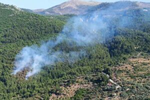 Muğla Milas'ta bulunan ormanlık alanda yangın çıktı. Ekipler bölgeye sevk