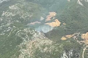 Muğla'nın Milas ilçesinde orman yangını çıktı. Yangına havadan ve karadan