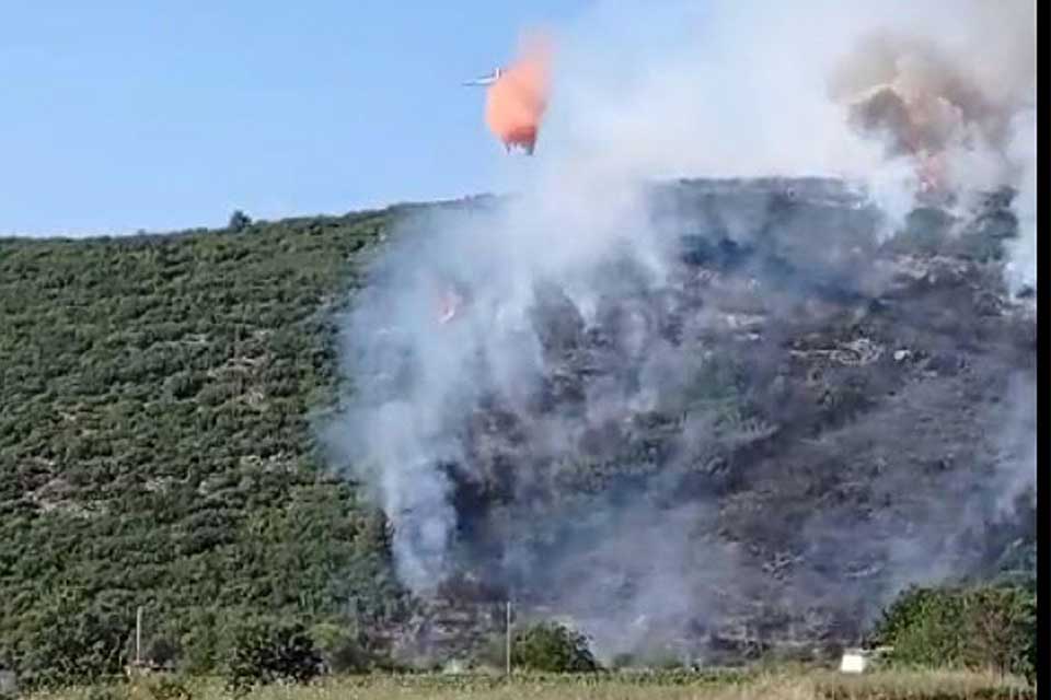 Muğla'nın Menteşe ilçesinde, tarım arazisinde çıkan yangın, ormana sıçradı. Bölgeye