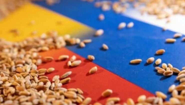 Tahıl Koridoru Anlaşması sona eriyor: Gıda krizi kapıda mı?