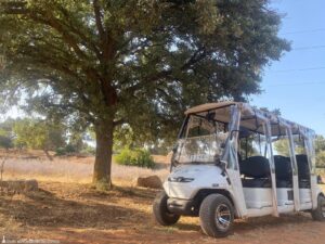 İzmir Büyükşehir Belediyesi yaşayan parklarından Güzelbahçe Yelki’deki Olivelo’da safari turları