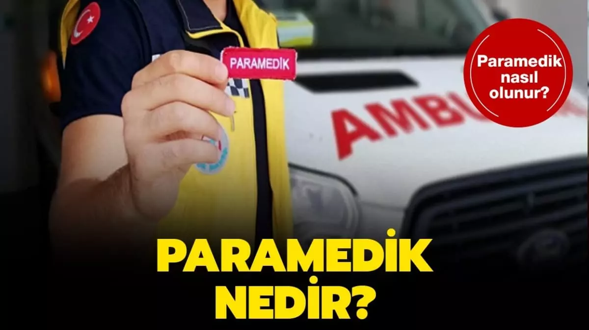 Son yıllarda üniversitelerin tercih edilen programları arasında yükselen “İlk ve