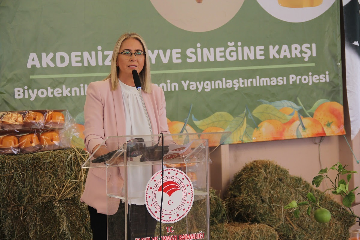 AK Parti İzmir Milletvekili Ceyda Bölünmez Çankırı yaptığı yerel seçim