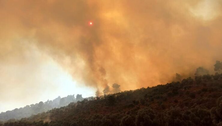 Milas yangınının sebebi ortaya çıktı: 160 hektar alan sigara izmaritinden yanmış!