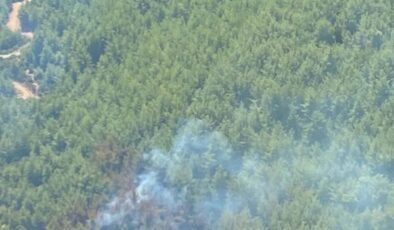 İzmir’de çıkan orman yangını yoğun müdahale sonucunda kontrol altına alındı