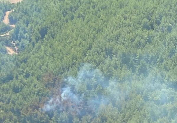 İzmir’de çıkan orman yangını yoğun müdahale sonucunda kontrol altına alındı
