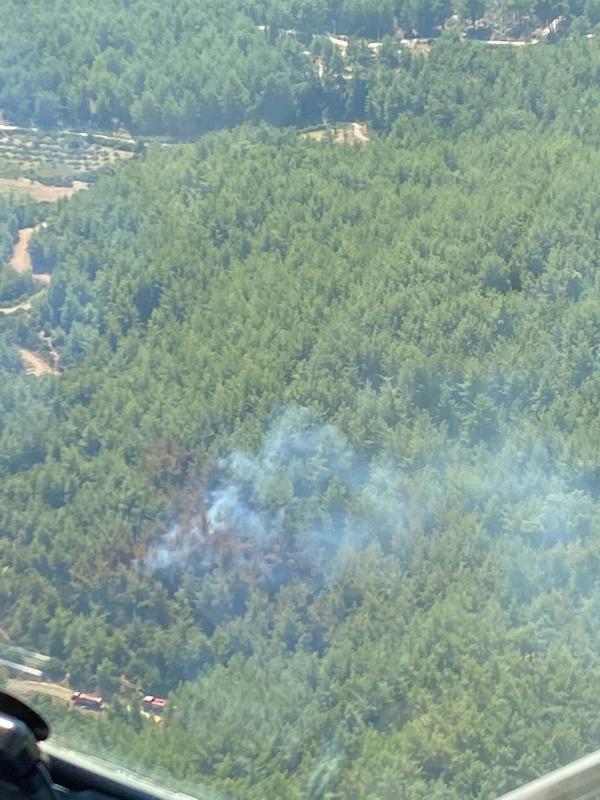 Çileme Mahallesi’ndeki ormanlık alanda henüz belirlenemeyen bir nedenle yangın çıktı.
