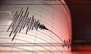Adana'da 4.6 büyüklüğünde deprem meydana geldi.
