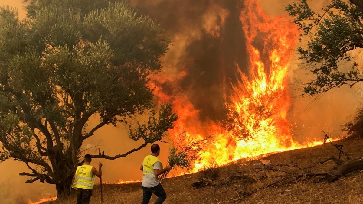 Yangın, Adıyaman Karadağ ormanlık alanında çıktı. Yangın ihbarının ardından olay yerine çok