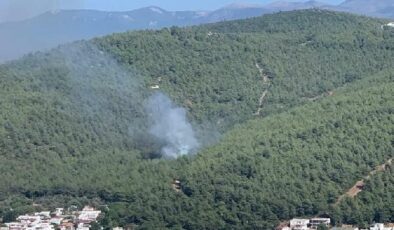 Bodrum’da orman yangını kontrol altına alındı