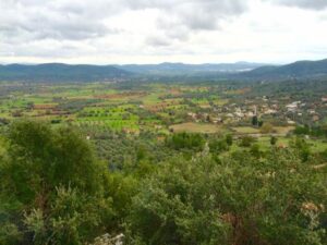 Muğla’nın Bodrum ilçesinde tarım arazisi statüsünde bulunan ve çam ormanlarının bulunduğu alan