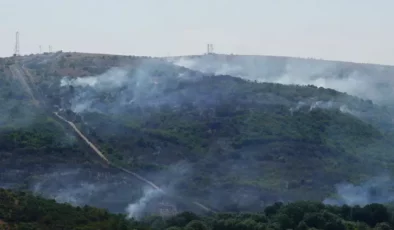 Türkiye-Bulgaristan sınırında yangın: Alevler hızla büyüyor!