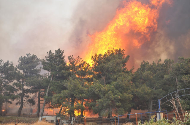 Çanakkale’deki orman yangınında son durum: 9 köy boşaltıldı, boğaz trafiğe kapatıldı
