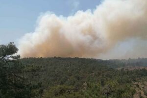 Denizli'de, Bademli Mahallesi'ndeki ormanda çıkan yangına, havadan ve karadan müdahale