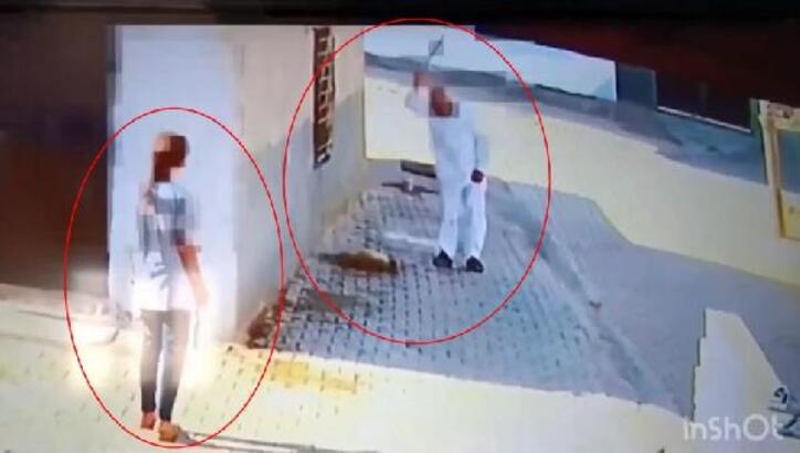 Mardin'in Kızıltepe ilçesinde yerde yatan köpeği M.T. adlı şahıs başına