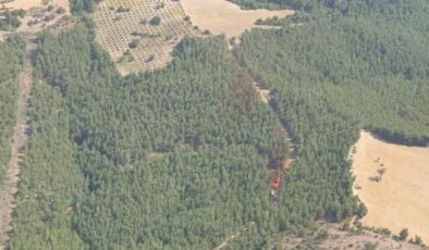 İzmir’de 2 farklı noktada çıkan orman yangını kontrol altına alındı
