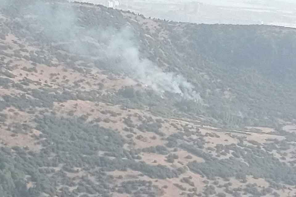İzmir'in Bornova ve Menemen ilçelerinde çıkan orman yangınları ekiplerin havadan