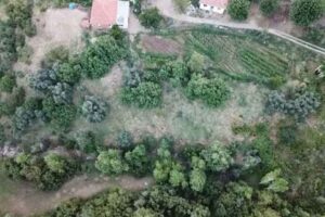 İzmir'in 4 ilçesinde, 01-11 Ağustos tarihleri arasında savcılığın koordinesinde jandarmanın
