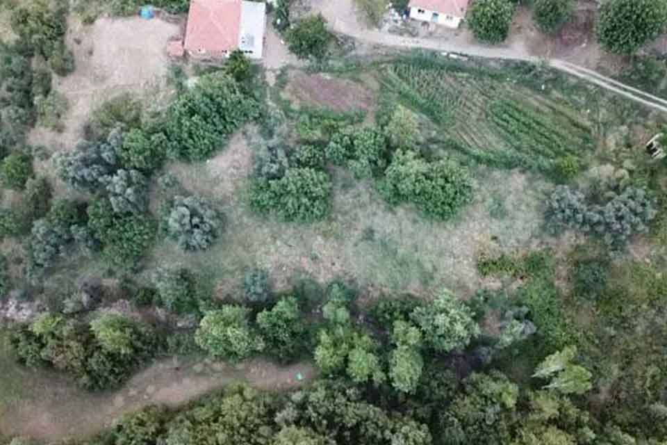 İzmir'in 4 ilçesinde, 01-11 Ağustos tarihleri arasında savcılığın koordinesinde jandarmanın