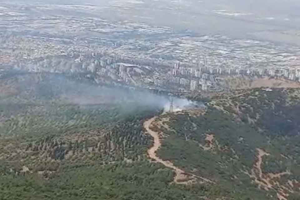İzmir'de orman yangını, 1 saatte kontrol altına alındı