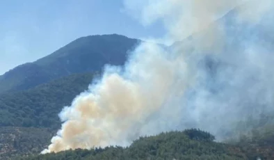 Kemalpaşa’da bir yangın daha: Orman yangını kontrol altına alınmaya çalışılıyor