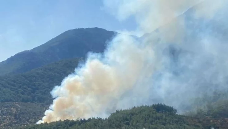 Kemalpaşa’da bir yangın daha: Orman yangını kontrol altına alınmaya çalışılıyor
