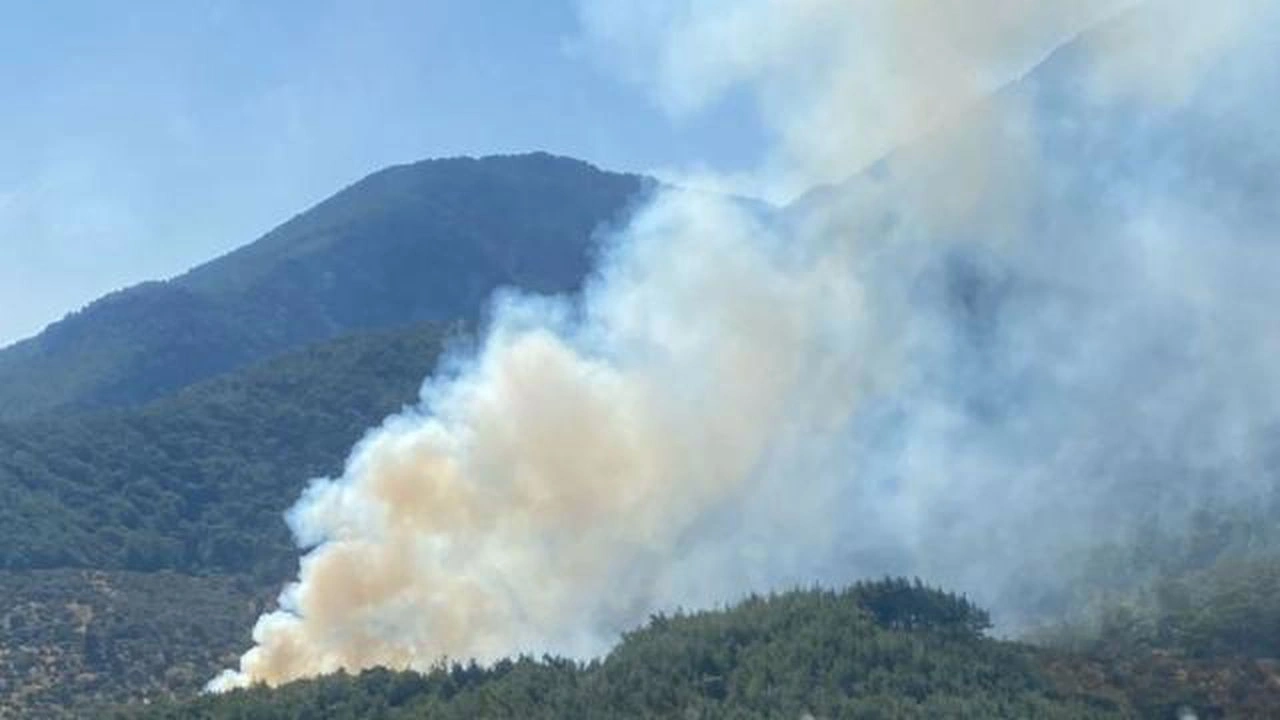 İzmir'in Kemalpaşa ilçesinde Nif Dağı'nda çıkan orman yangınına müdahale devam