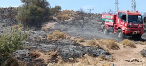 İzmir'in Foça ilçesinde makilikte çıkan yangın, havadan ve karadan müdahaleyle,