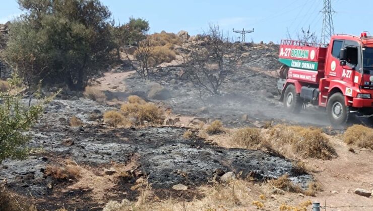 İzmir’de makilik yangını: 3 hektar alan zarar gördü