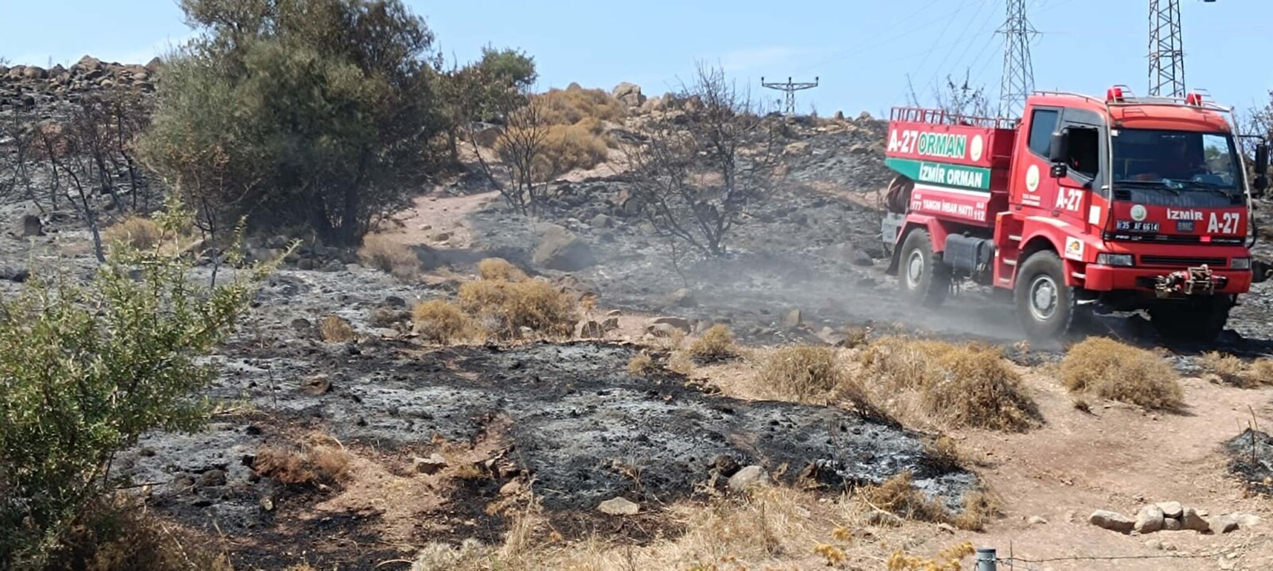 İzmir'in Foça ilçesinde makilikte çıkan yangın, havadan ve karadan müdahaleyle,