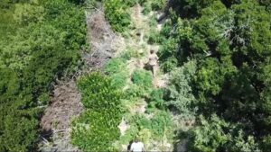 İzmir'in 5 ilçesinde son 1 haftada düzenlenen operasyonlarda 30 şüpheli