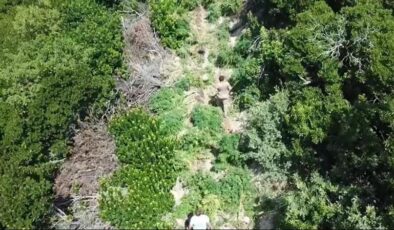 İzmir’de dron destekli uyuşturucu operasyonlarında 30 gözaltı