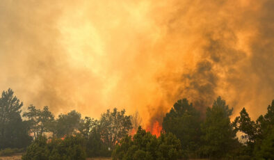 Kütahya’da orman yangını: Ekipler sevk edildi