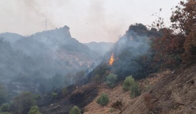 Manisa’da maki yangını