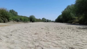 Havaların kurak geçmesi ve aşırı sıcaklarla birlikte Büyük Menderes Nehri’nde